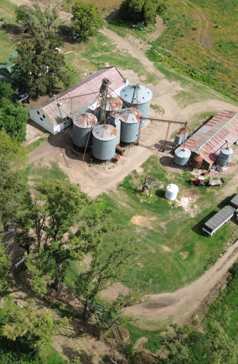 Campo María
