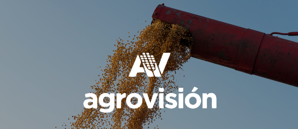 Agrovisión - Procesamiento de semillas